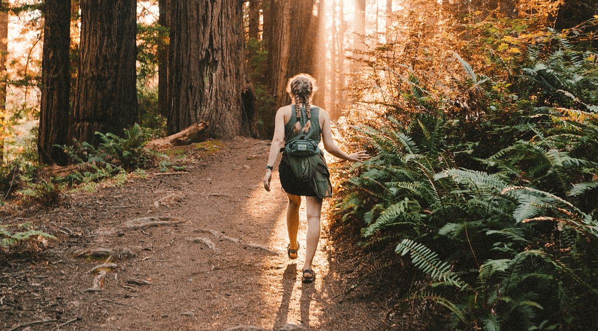 Hiking trails in DC