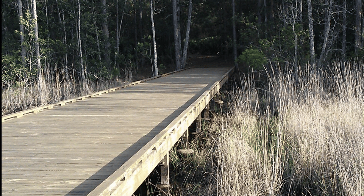 Lake Lizzie Marsh Loop