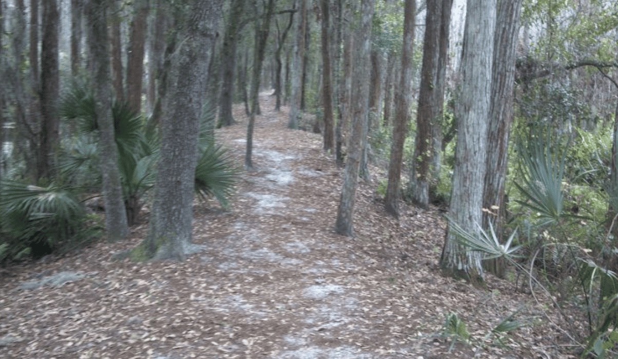 Shingle Creek Trail