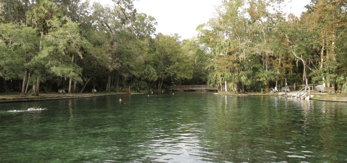 Wekiwa Springs