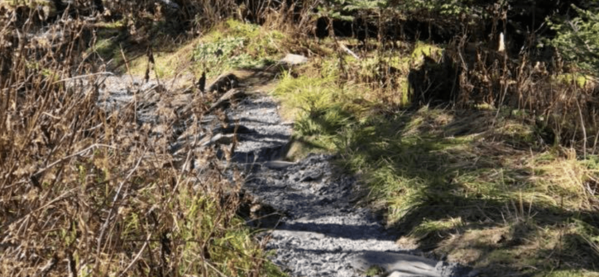 Appalachian Trail - WV