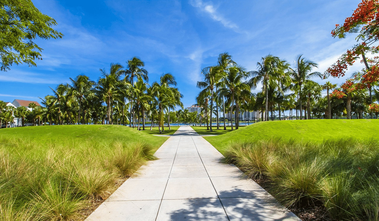 Hiking in Miami