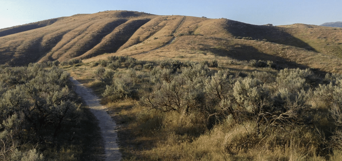 Harrison Hollow Loop