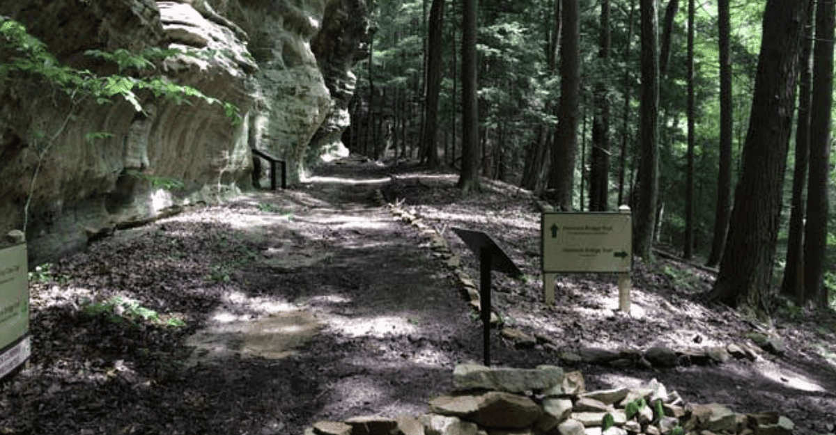 Hemlock Trail