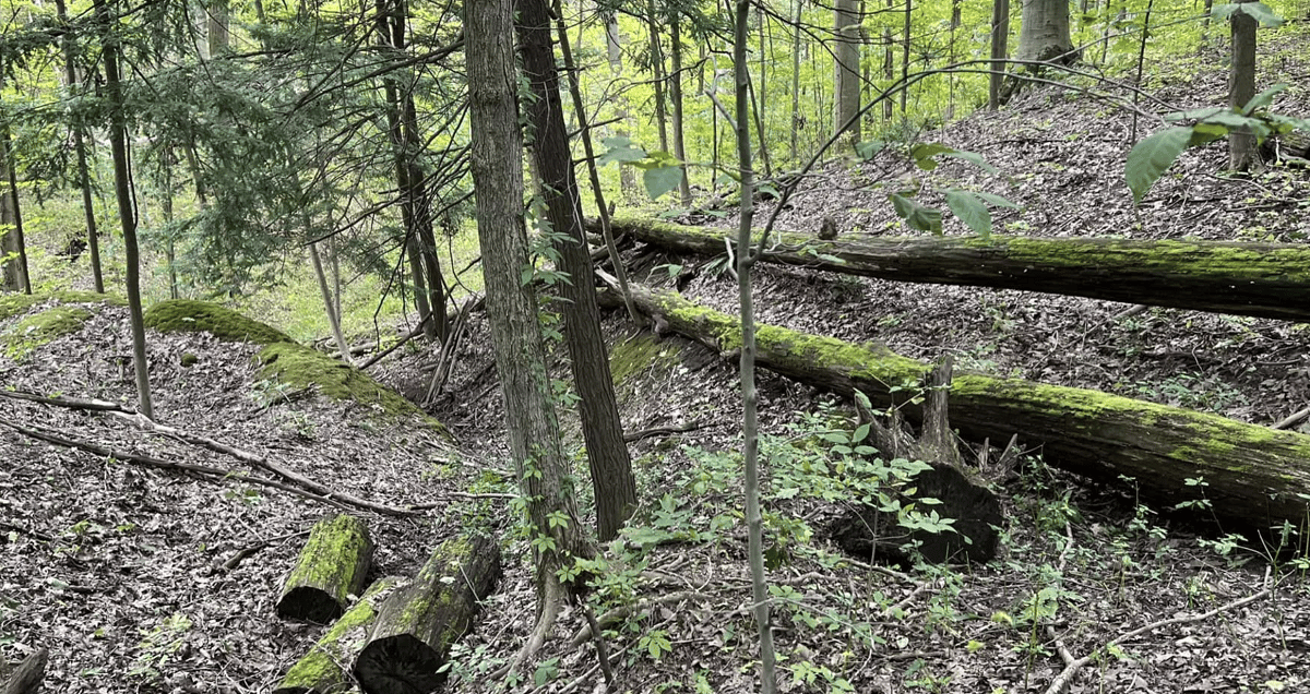 North Chagrin Reservation Loop