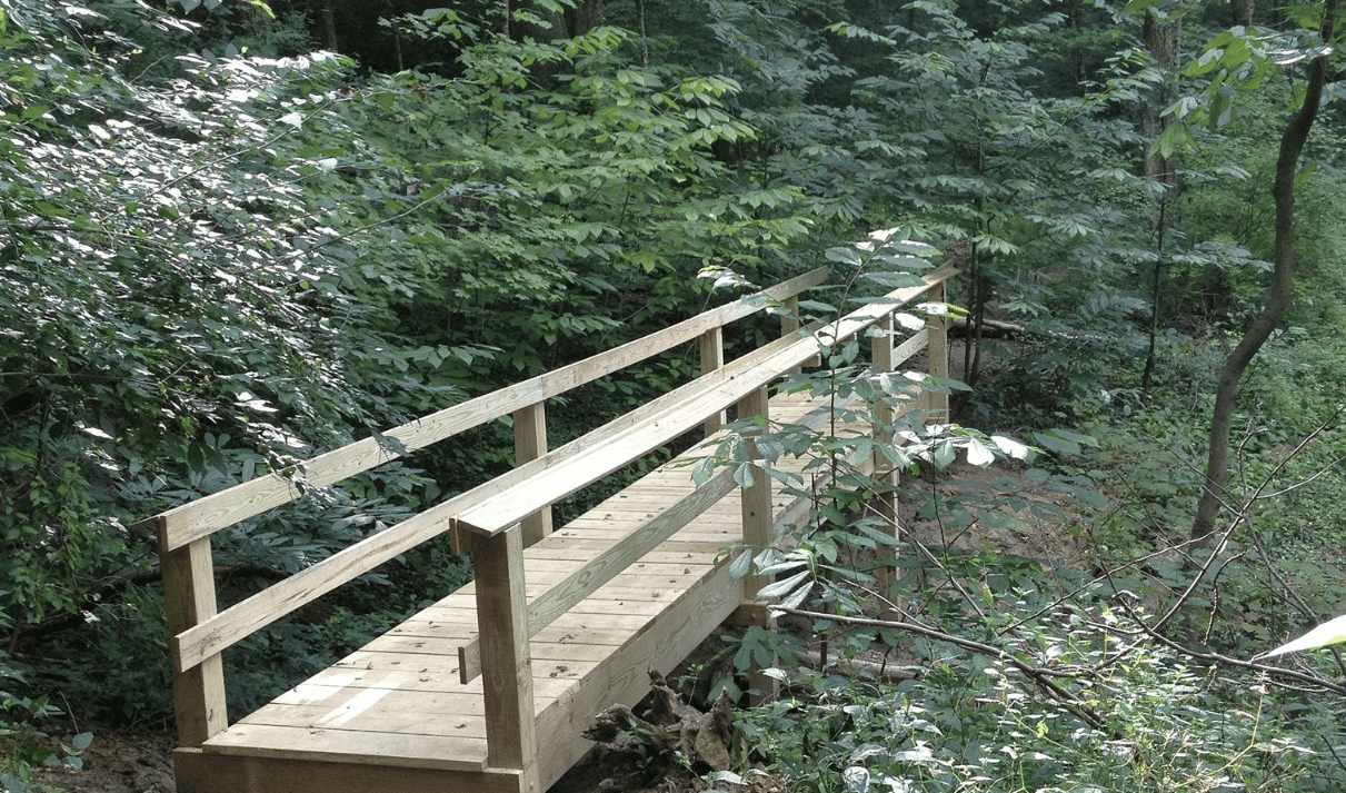 Ault Forest Loop Trail