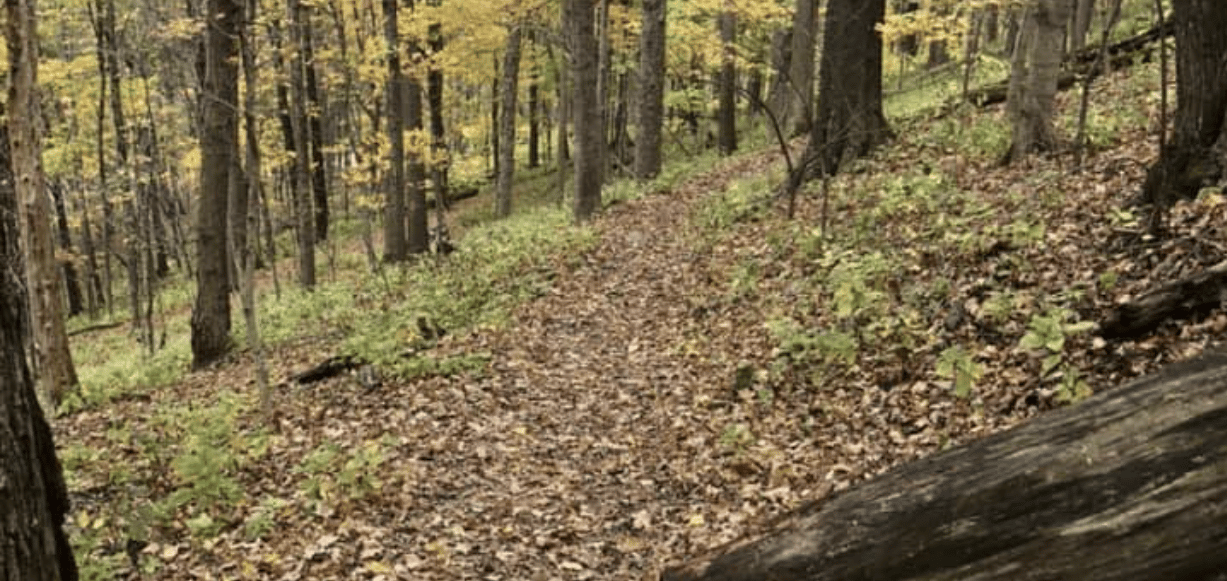Bender Mountain Loop Trail