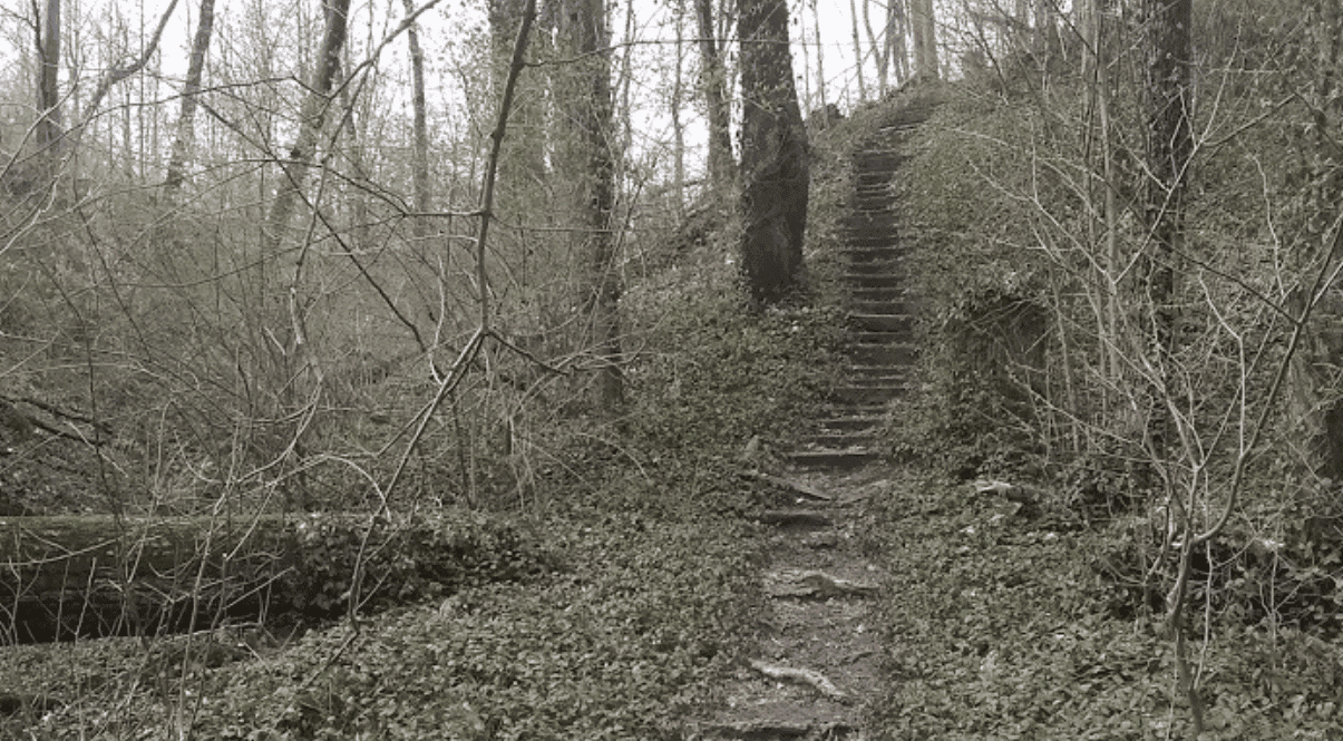 Caldwell Nature Preserve Trail