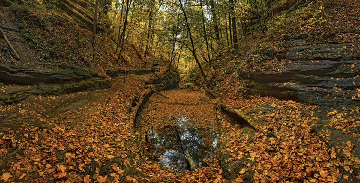 French Park