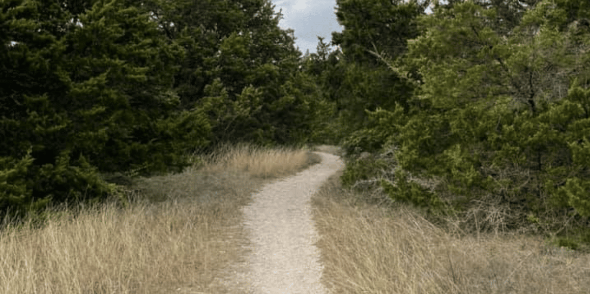 Oak Cliff Nature Preserve