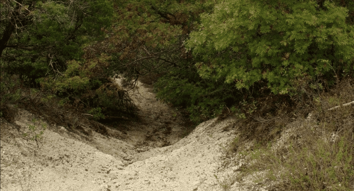 Piedmont Ridge Scyene Overlook