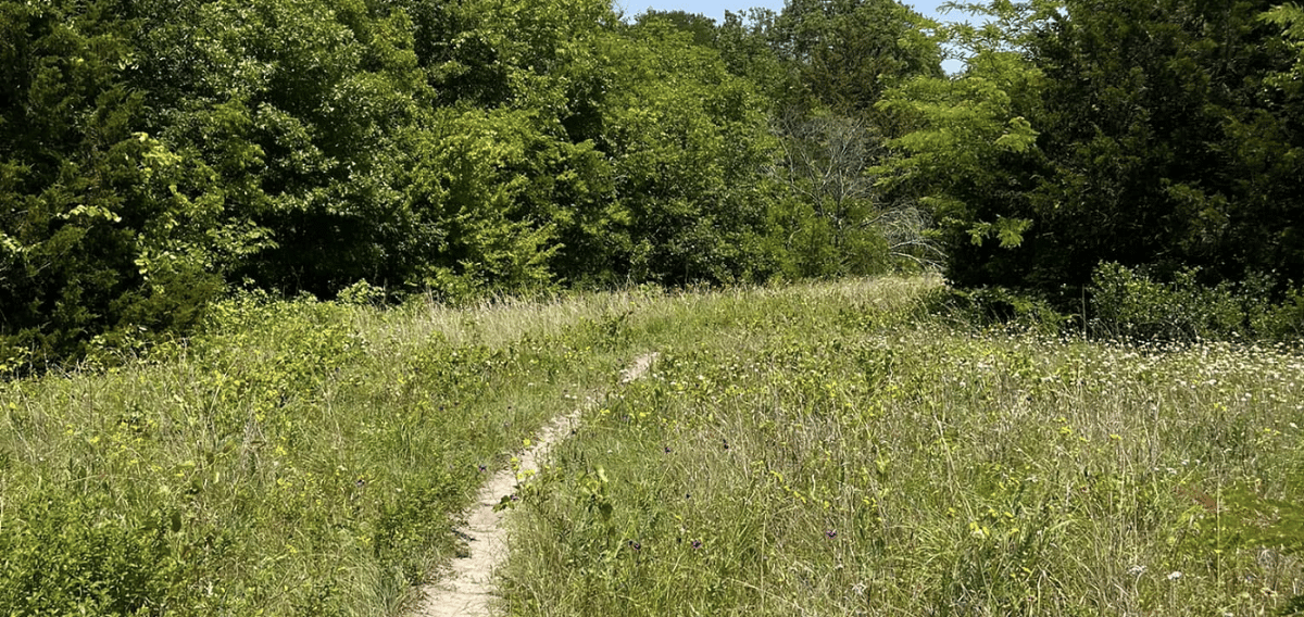 Spring Creek Forest Preserve Trail