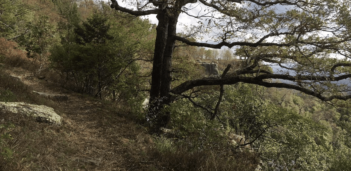 White Rock Lake Trail