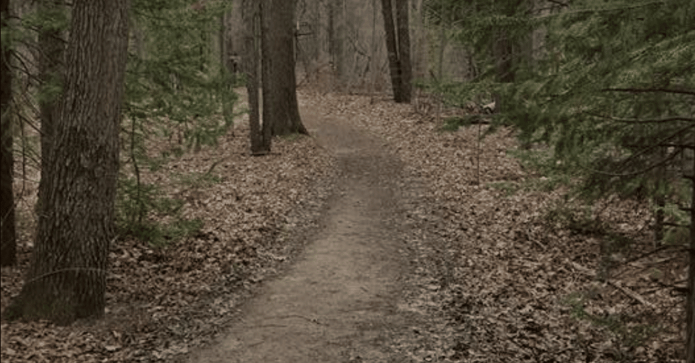 Proud Lake Marsh Trail