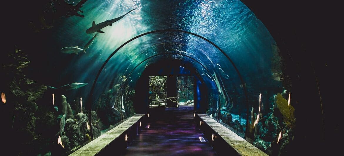 Aquarium in Kentucky