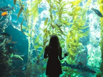 Aquariums in Indiana
