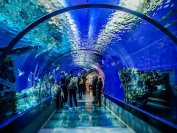 Aquariums in Maryland