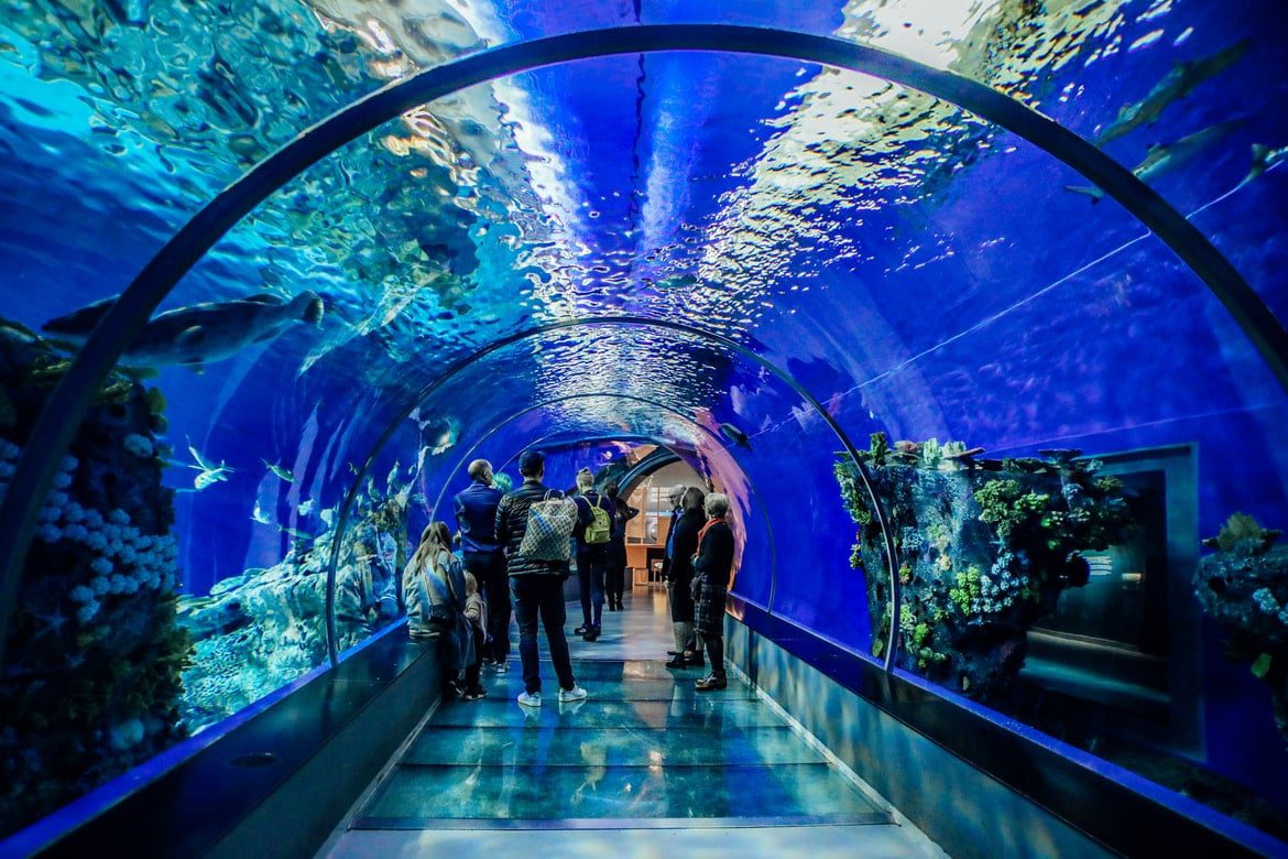 Aquariums in Maryland