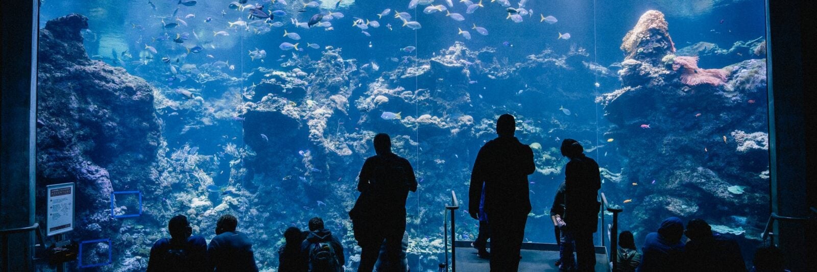 Aquariums in Mississippi
