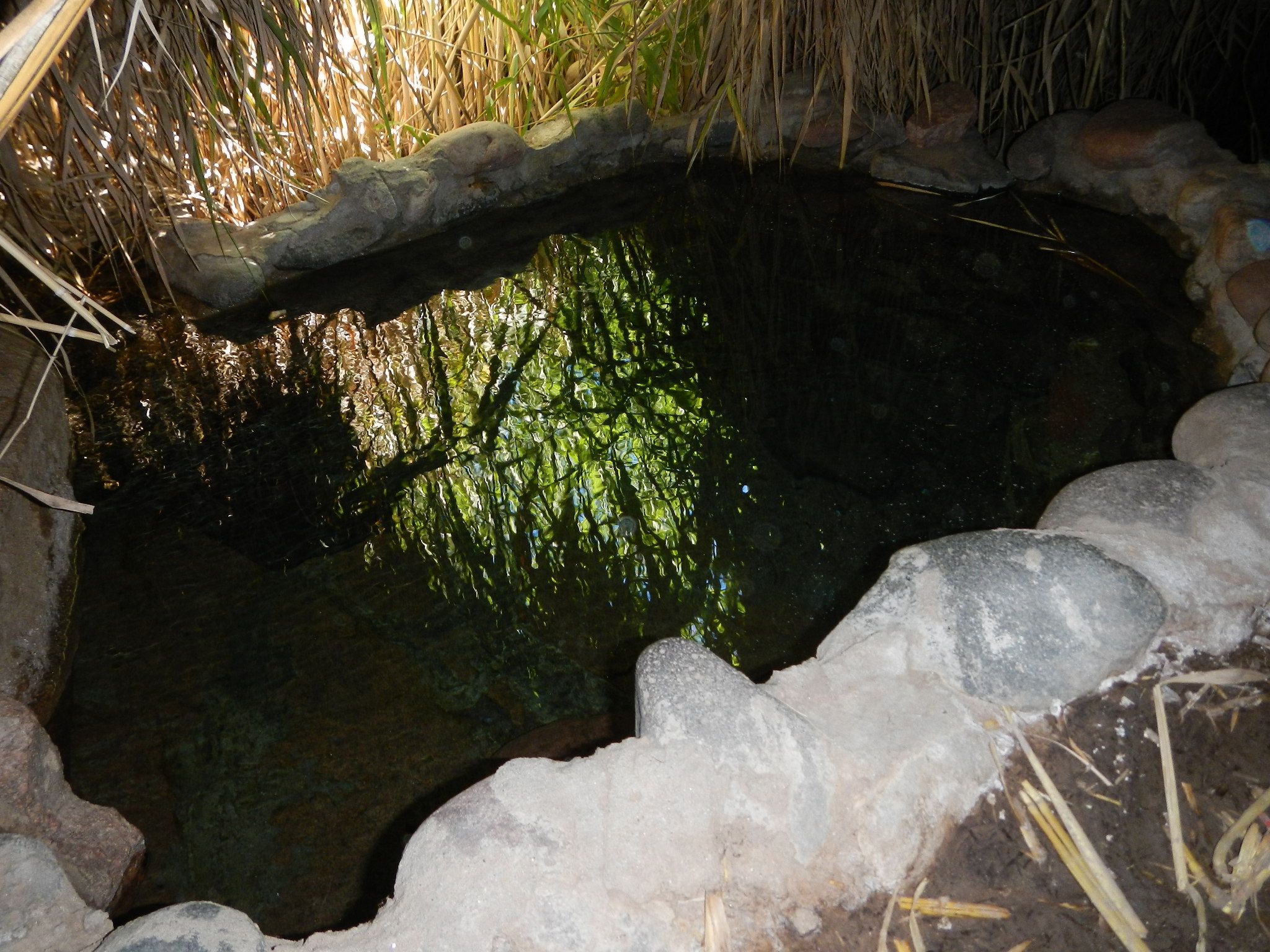 Sheep Bridge Hot Springs in Arizona