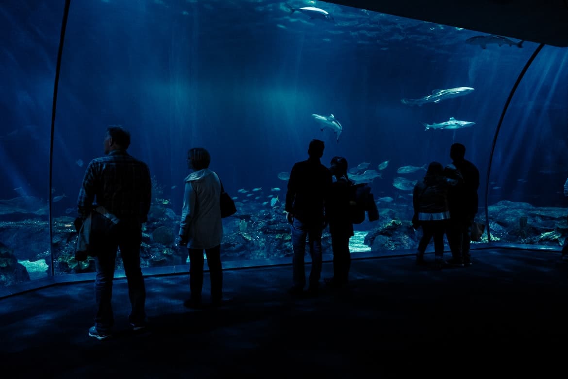 Aquariums in Oklahoma