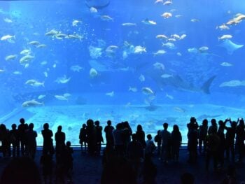 Aquariums in Pennsylvania