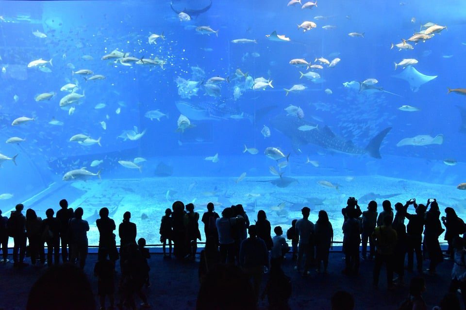 Aquariums in Pennsylvania