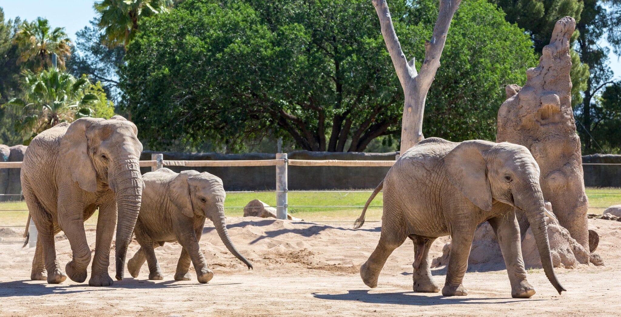 Reid Zoo Park