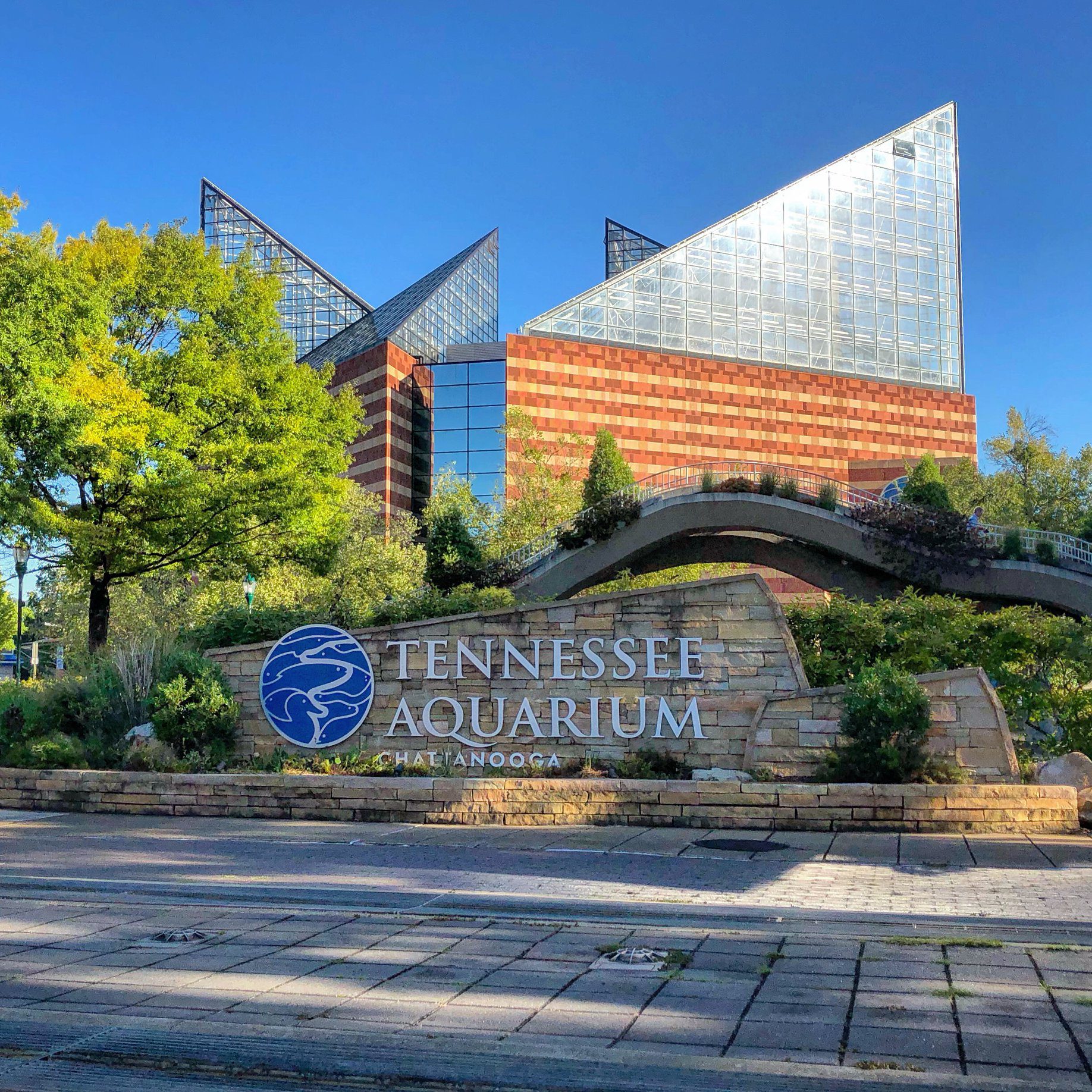 Tennessee Aquarium in Chatanooga