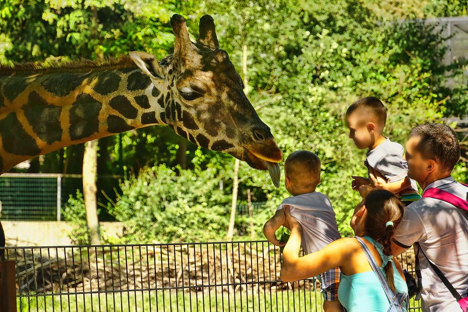 Fort Wayne Children's Zoo