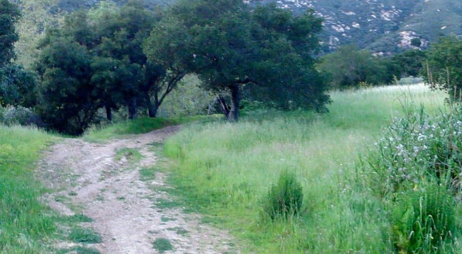 Montecito Hot Springs Trail