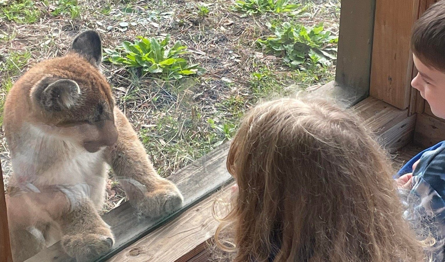 Oatland Island Wildlife Center