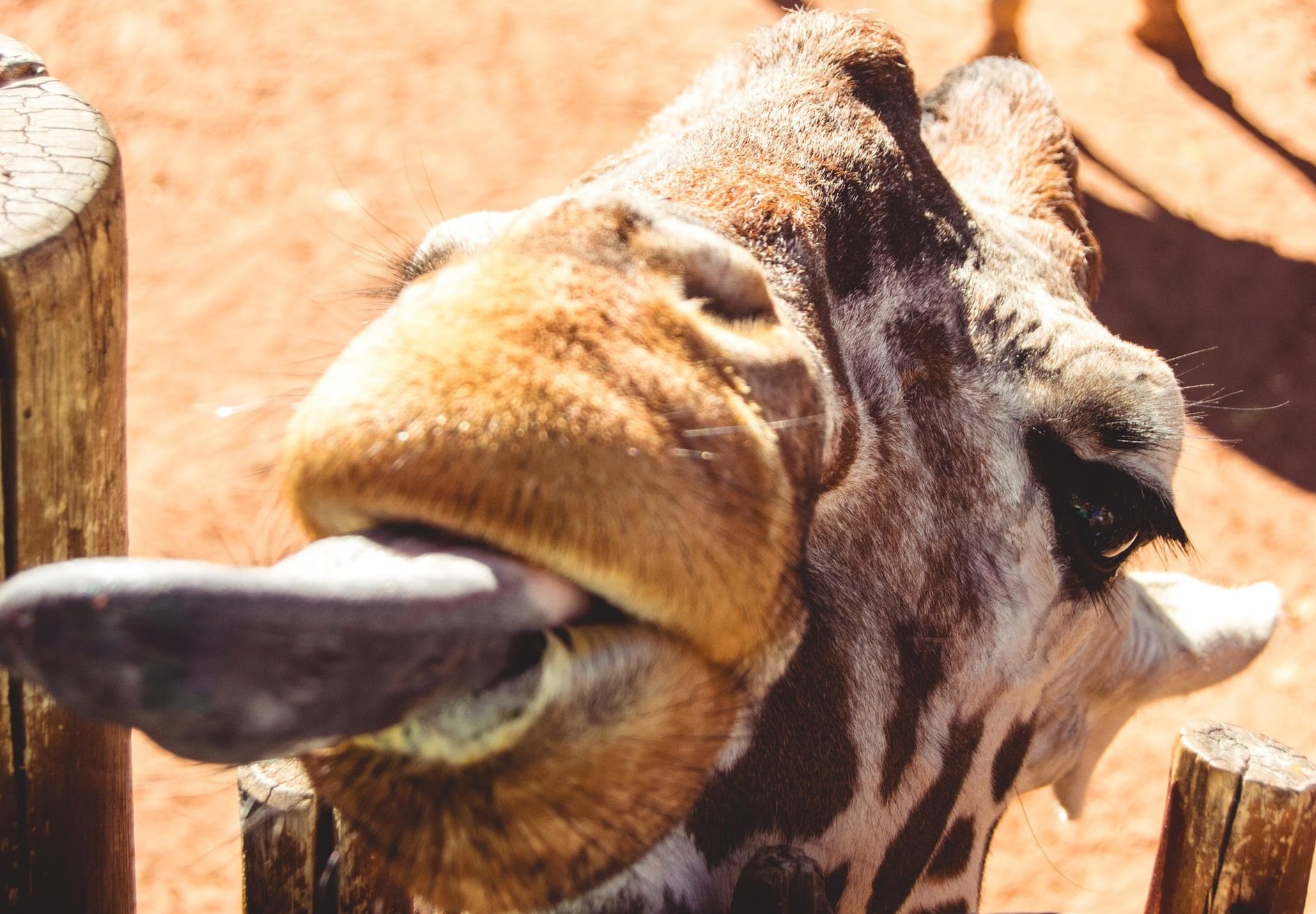 Sedgwick County Zoo