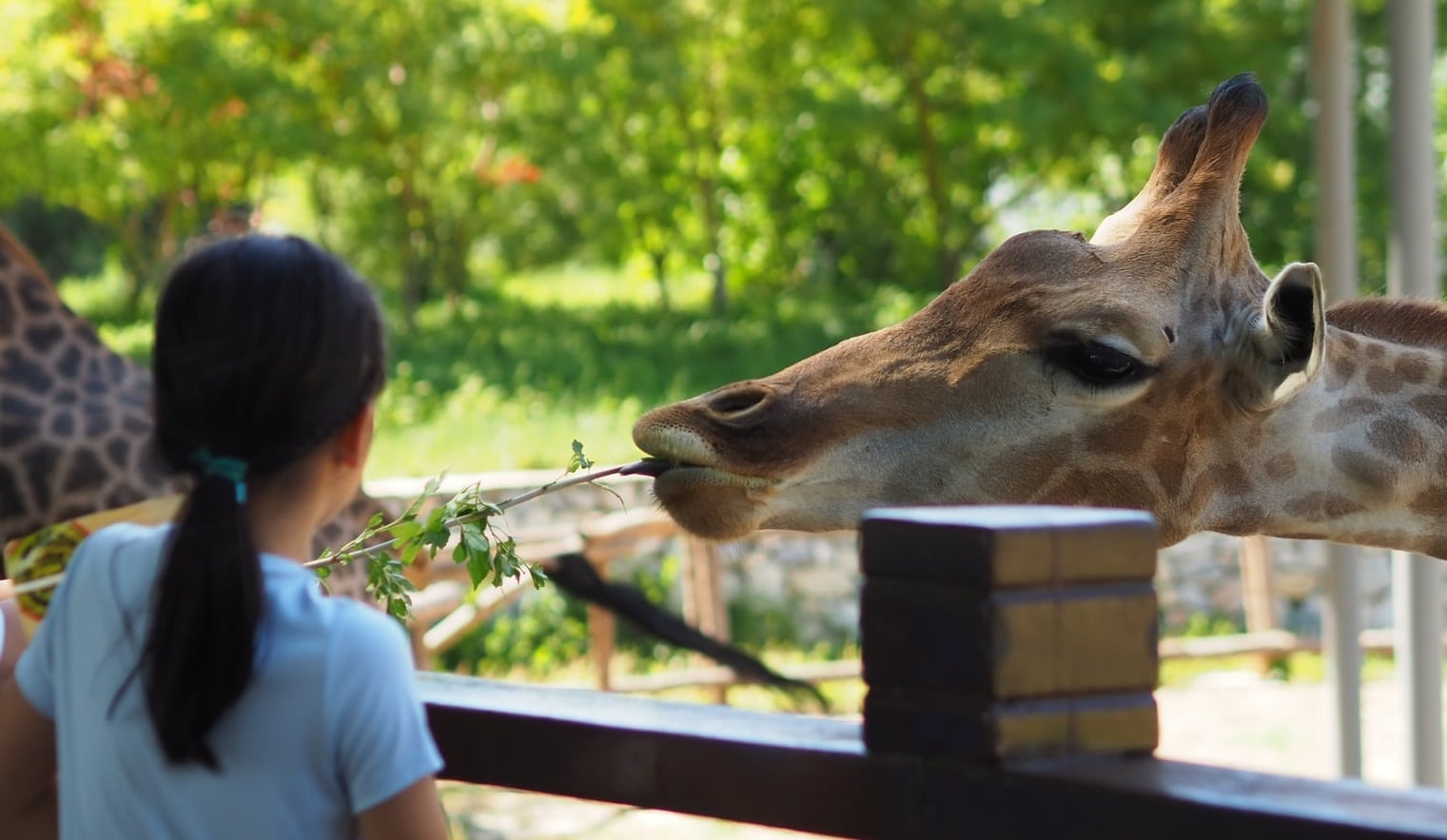 Tanganyika Wildlife Park