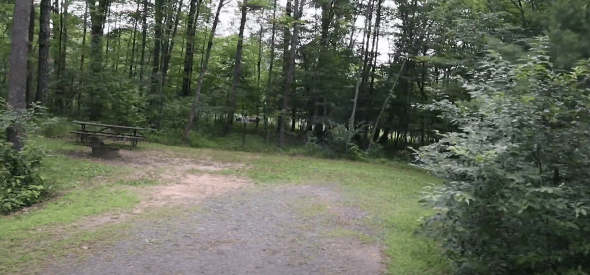 Black River State Forest Campsite