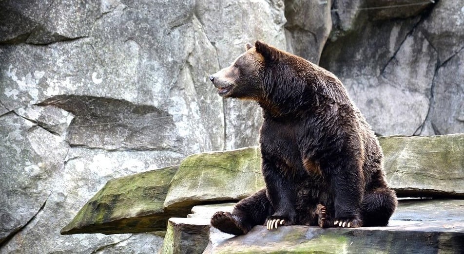 North Dakota Zoos