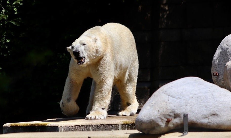 Prospect Park Zoo