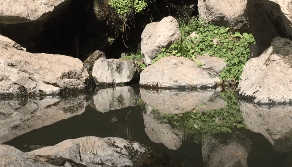 Spence Hot Springs Pool
