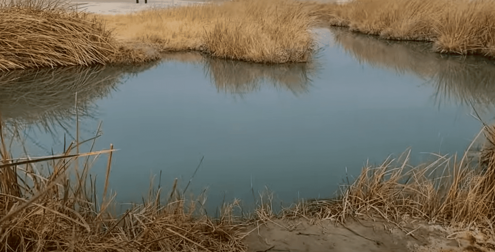 Tecopa Hot Spring