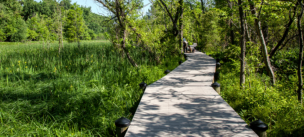 Theodore Roosevelt Island