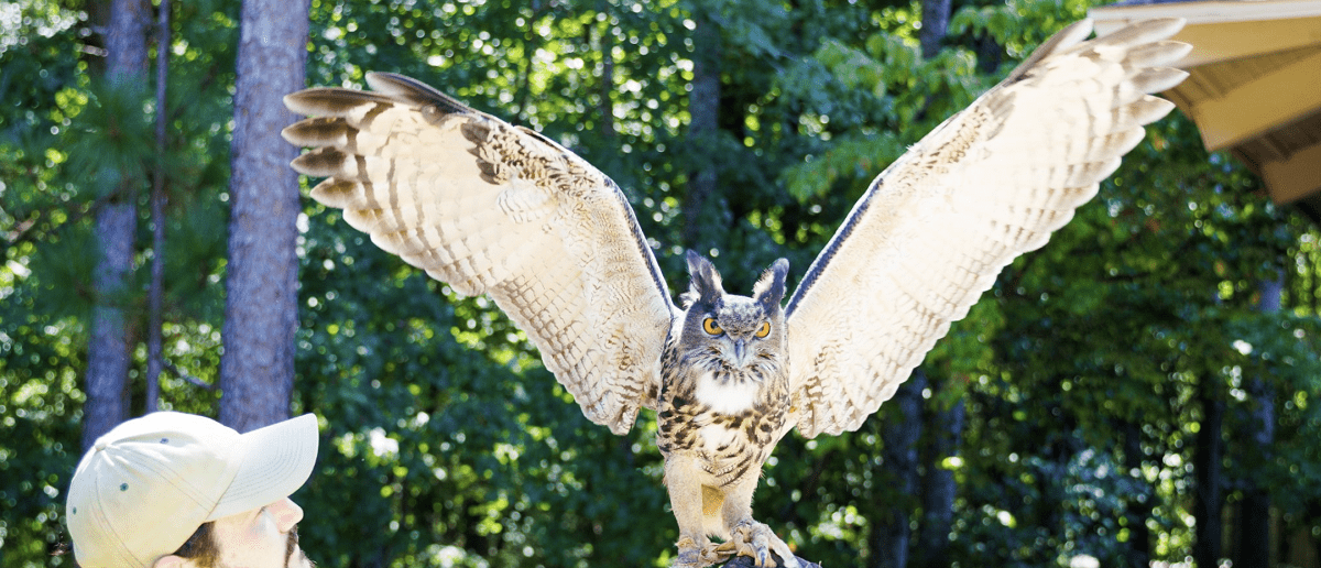Alabama Wildlife Center