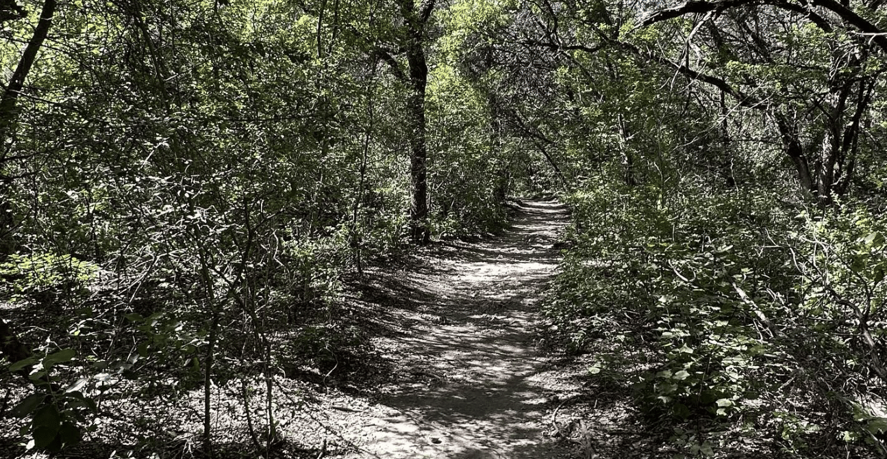 Barton Creek Greenbelt