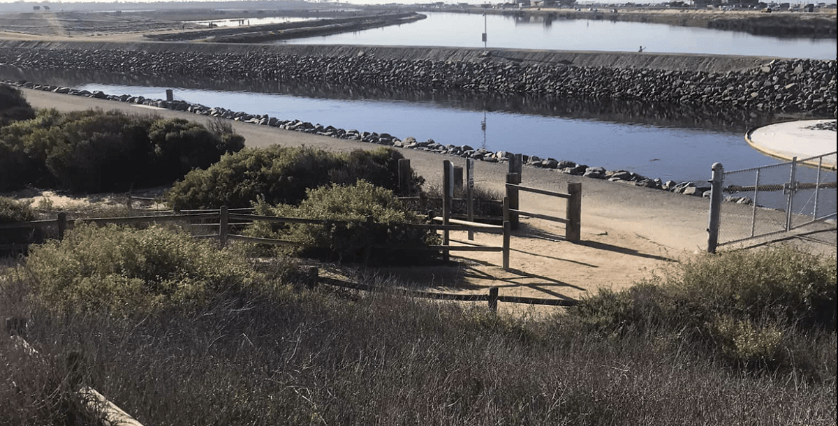 Bolsa Chica Ecological Reserve Hike