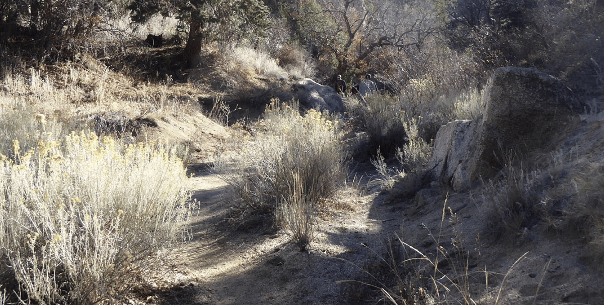 Embudito Canyon Loop