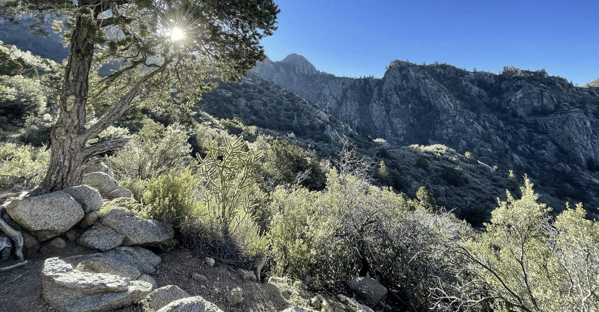 La Luz Trail