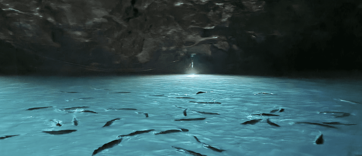 Lost Sea Cave