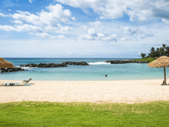 Things To Do in Hawaii