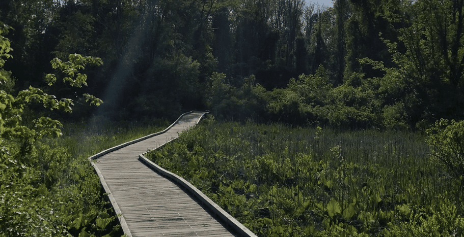 Battle Road Trail