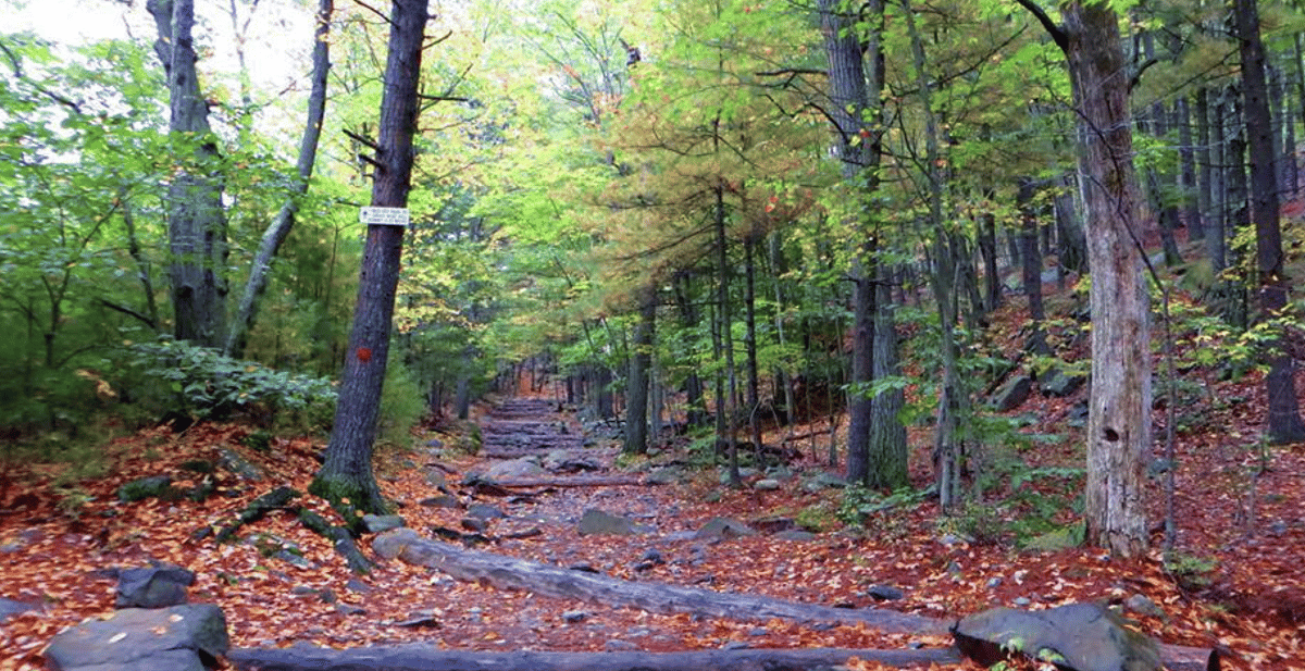 Blue Hills Reservation