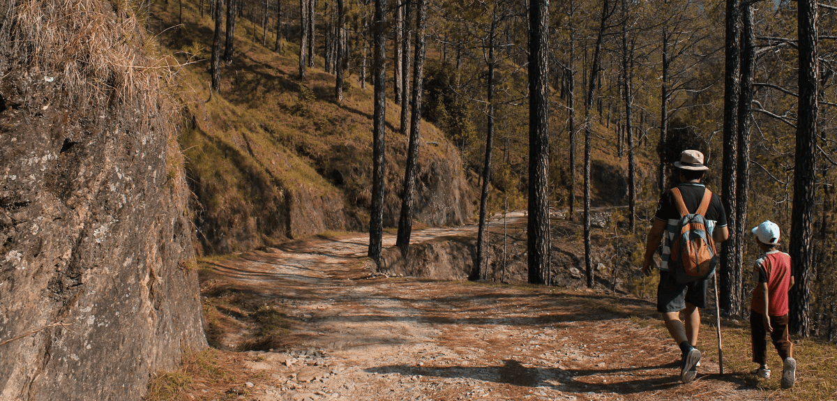 Central Alabama Hiking Trails